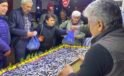Bolu’da balık tezgahlarında hamsi bolluğu