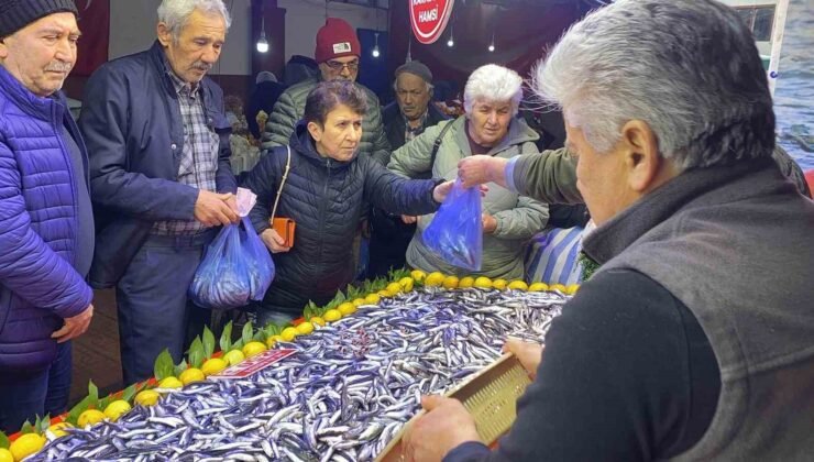 Bolu’da balık tezgahlarında hamsi bolluğu