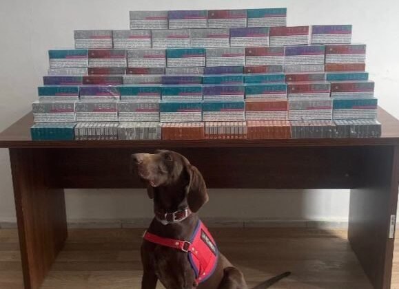 Bolu’da binlerce elektronik sigara kiti ele geçirildi