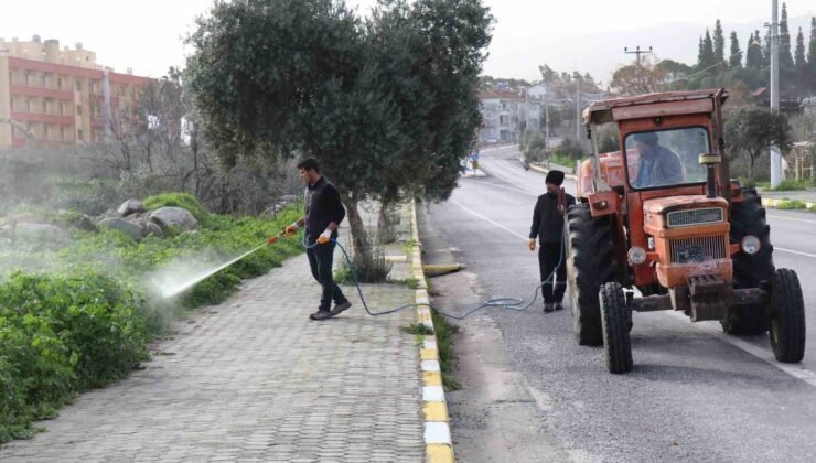 Bozdoğan’da yabani ot mücadelesi