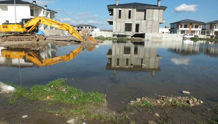 Burhaniye’ de çevre felaketi yaşanıyor