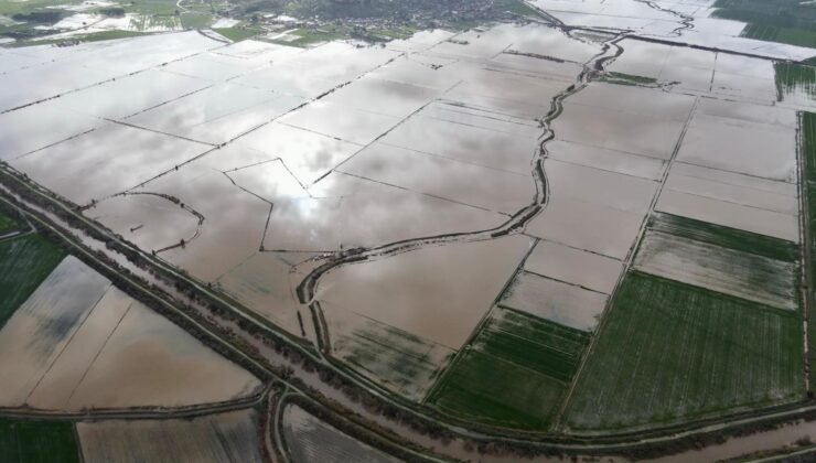 Büyük Menderes’te su seviyesi en yüksek seviyeye ulaştı