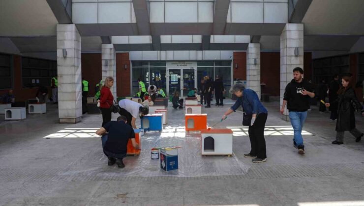 Can dostlara sıcak yuva