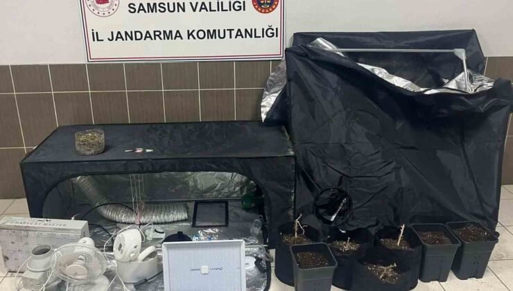 Çarşamba’da jandarmadan uyuşturucu operasyonu