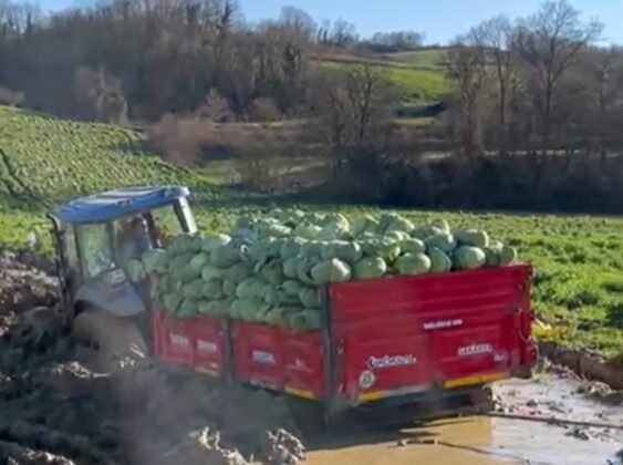 Çiftçinin zor anları