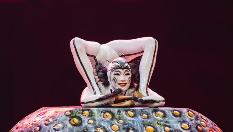 Cirque du Soleil’in böceklerin dünyasını anlatan dev yapımı İstanbul’da sahne alacak