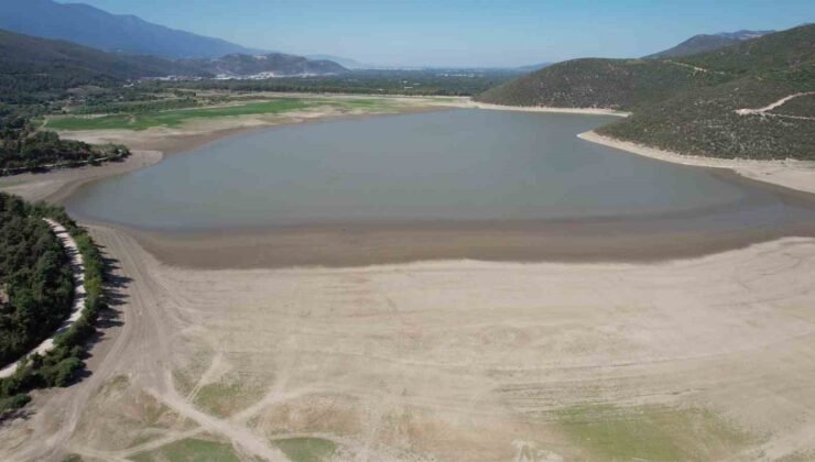 Çöle dönen Gölbaşı Göleti, yeniden hayat buldu
