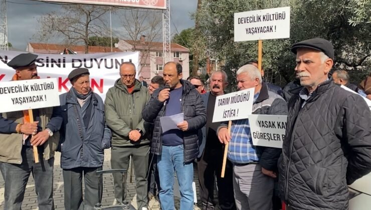 DEGÜF üyeleri deve güreşlerinin yapılmamasını protesto etti