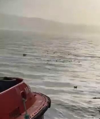 Denizi şehir çöplüğüne çevirdiler