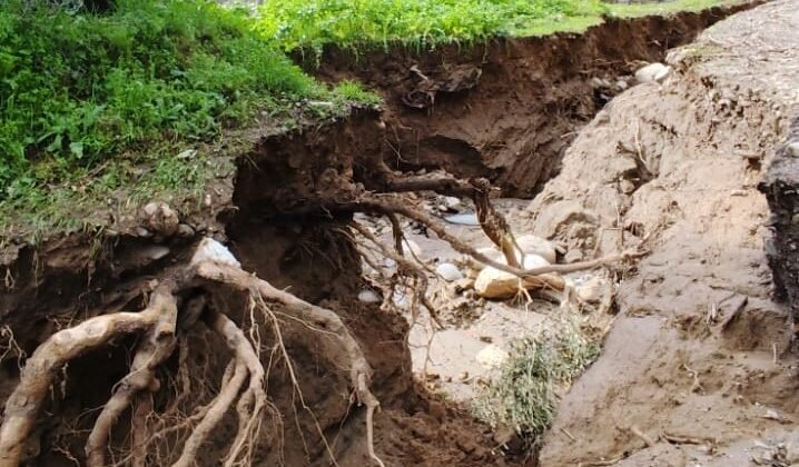 Dere suları yön değiştirdi, zeytinlikte ikinci yatak oluştu
