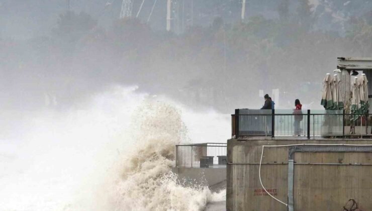 Dev dalgalar sahili dövdü: Martılar balık, define avcıları kıymetli eşya aradı