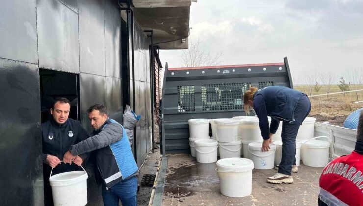 Diyarbakır’da 5 işletmede ele geçirilen 460 kilogram peynir imha edildi