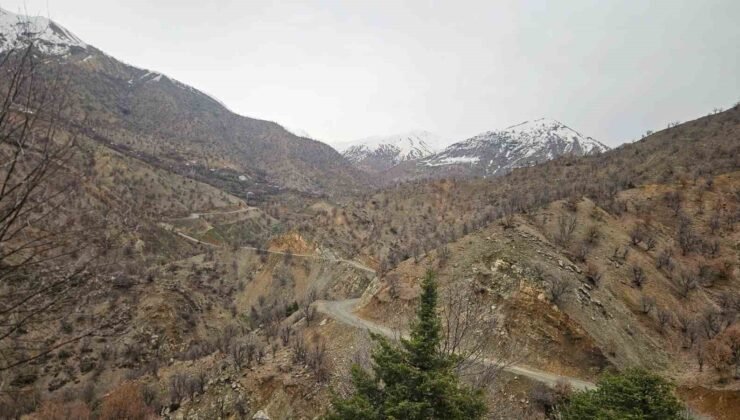 Diyarbakır’da kayıp yaşlı adam 11 gündür aranıyor