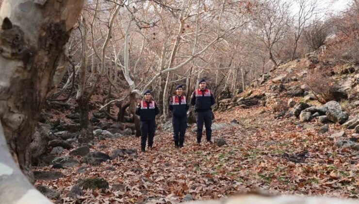 Diyarbakır’ın ekolojik dengesi Çevre ve Doğal Hayatı Koruma Kısmı tarafından korunuyor