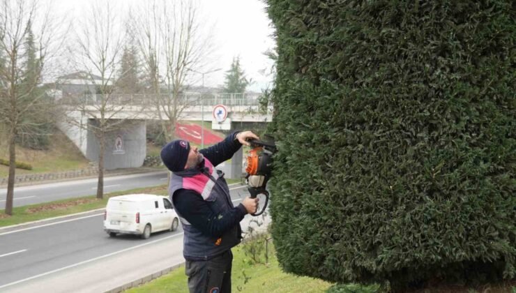 Düzce’de bahar hazırlıkları başladı