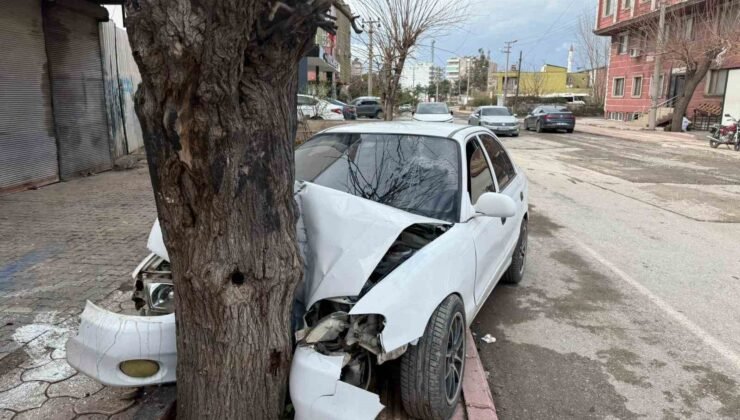 Ehliyetsiz sürücünün kontrolünü kaybettiği otomobil ağaca çarptı… O anlar kamerada