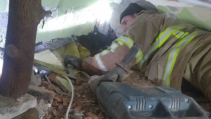 Enkaz altında hafızalara kazınan anlar: “Çay içelim” teklifi ve küçük Zehra’nın kurtuluşu