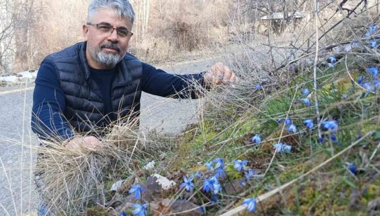 Erzurum’un bir yanı kış bir yanı bahar