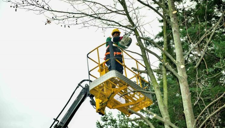 Esenyurt’ta bahar hazırlıkları başladı: Ağaçlar budanıyor