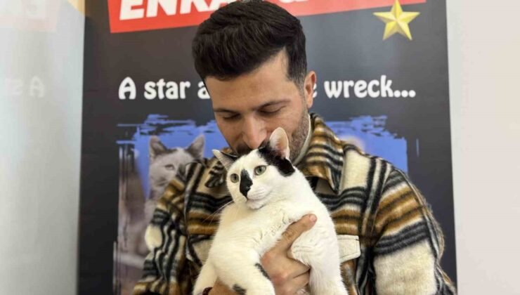 Eski itfaiye eri, enkazdan çıkardığı kediyle deprem travmasını birlikte atlattı