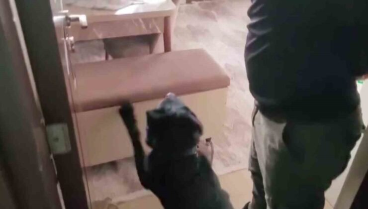 Evindeki sandıktan 814 gram eroin çıktı, “Satmıyorum, kullanıcıyım” dedi