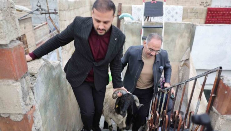 Eyyübiye’de 400 aileye ‘koç’ sürprizi