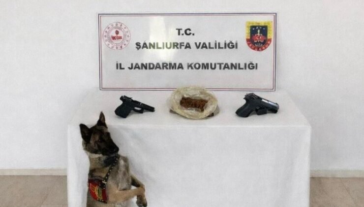 Eyyübiye’de uyuşturucu operasyonu: 1 tutuklama