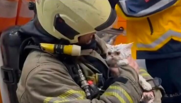 Fatih’te metruk binada çıkan yangın yanındaki ahşap binaya sıçradı: Bir kedi kurtarıldı