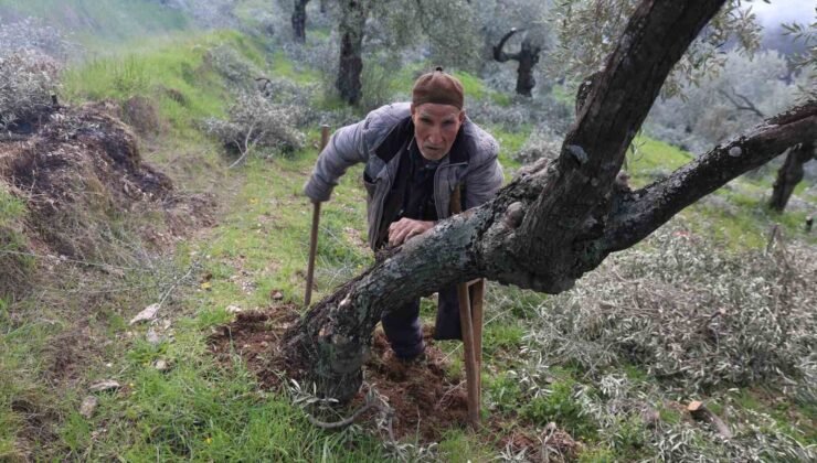Film sahnesi değil gerçek hayat