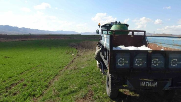 Gercüş’te çiftçilerin bahar mesaisi başladı: Tarlalar gübreyle buluşuyor