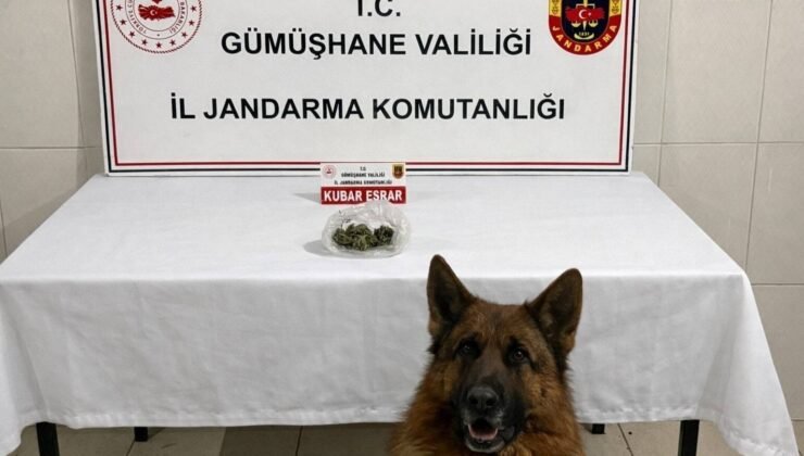 Gümüşhane’de uyuşturucu operasyonu