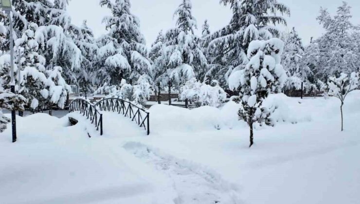 Hacılar Belediyesi ekipleri karla mücadele için sahada