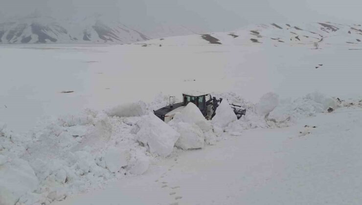 Hakkari’de 19 köy ve 38 mezra yolu ulaşıma açıldı