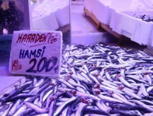 Hamsi tezgahlardaki tahtına yeniden oturdu