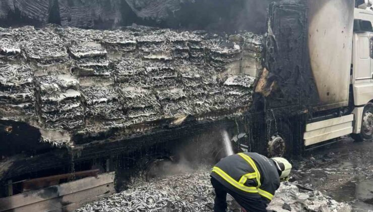 Hamsi yüklü tır alevlere teslim oldu: Dorse kullanılamaz hale geldi