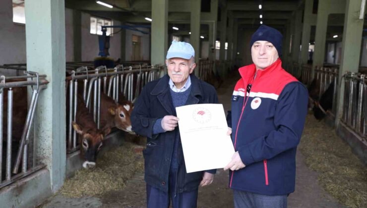 Hayvancılıkta örnek işletmenin ’Hastalıktan Ari Sertifikası’ yenilendi