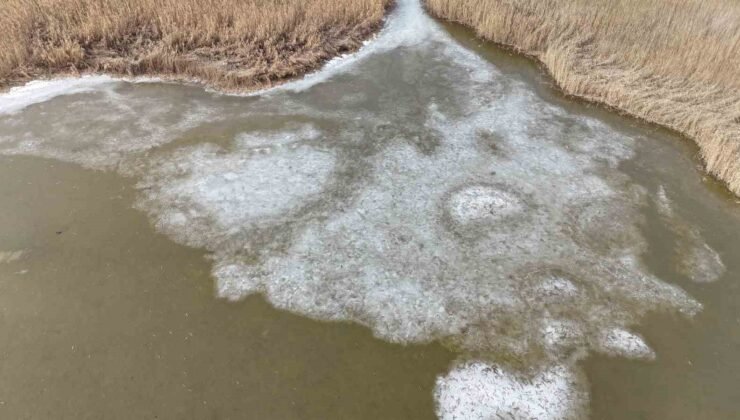 Iğdır’da donan Karasu Sazlığı’nda buzlar eriyor