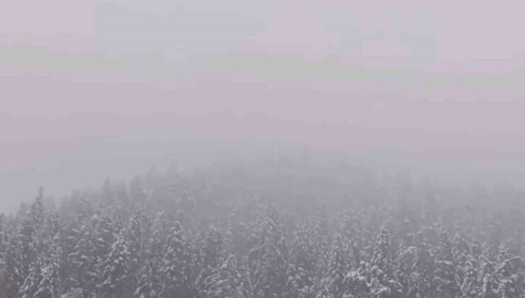 Ilgaz Dağı’nda kar yağışı etkili oldu