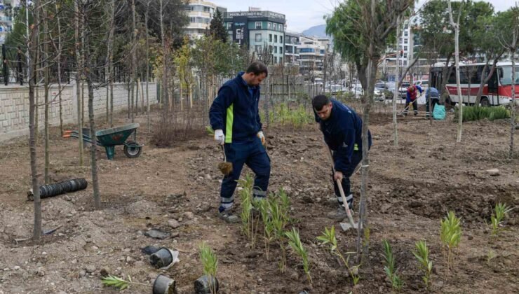 İzmir’de atıl alanlar mini ormana dönüşüyor