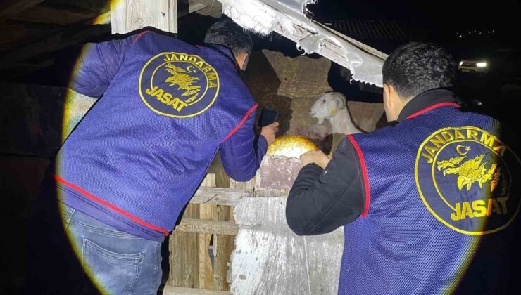 Jandarma kayıp 5 koyun için 3 iş yeri ve 9 meskene ait toplam 24 saatlik güvenlik kamerasını saniye saniye inceledi