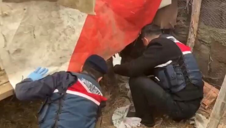 Jandarma, kümese saklanan uyuşturucuyu ele geçirdi: 2 gözaltı