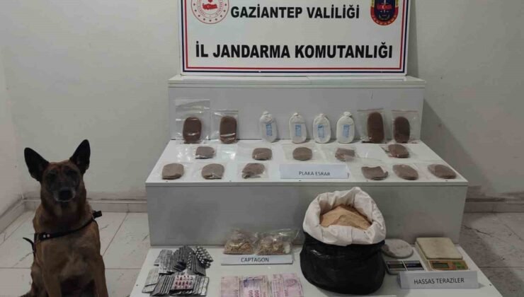 Jandarmanın uyuşturucu ve kaçakçılık operasyonlarında 10 şahıs tutuklandı