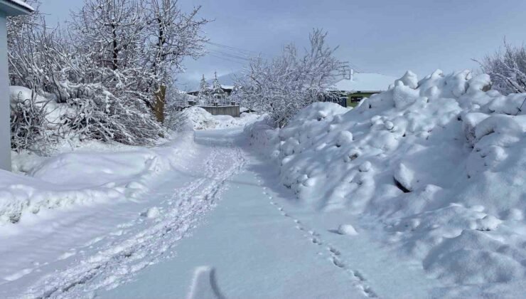 Karlıova’da kar yağışı etkisini sürdürüyor