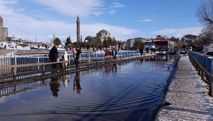 Kars’ta bahar havası: Güneşi gören kendisini dışarı attı