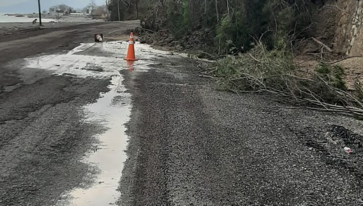 Kastamonu’da heyelanda istinat duvarını aşan ağaçlar yola kadar geldi