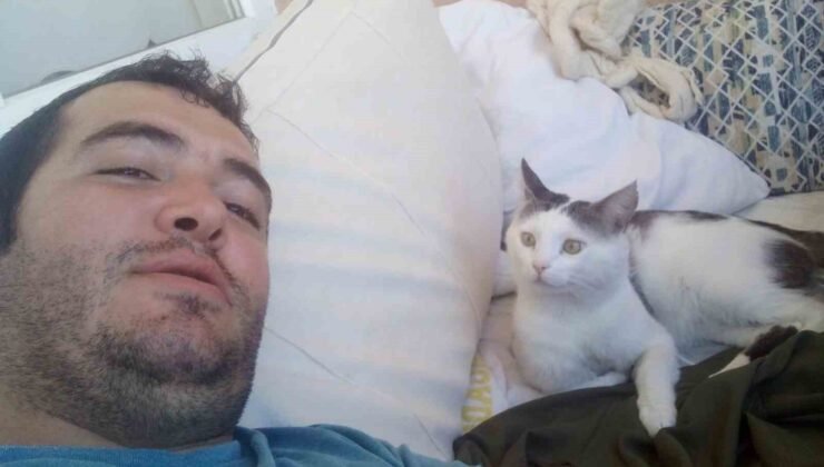 Kaybolan kedisi için binlerce kilometre yol yaptı