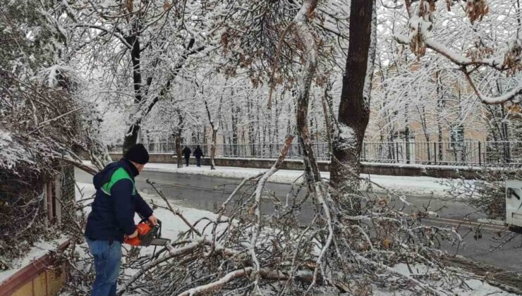 Kayseri Büyükşehir’den kış çalışmalarında ağaç güvenliği seferberliği