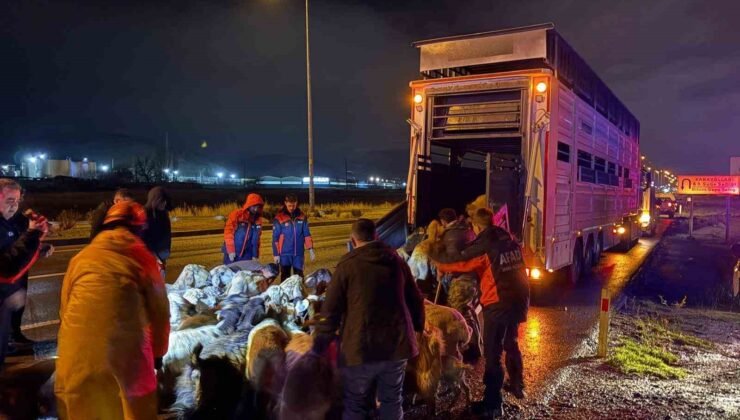 Kayseri’de taşkın riski: 200 hayvan tahliye edildi