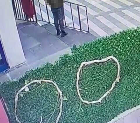 Kedinin çuvala konularak uzaklaştırıldığı görüntülere tepki