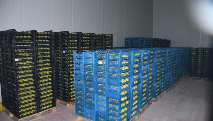 Kestel’e 400 milyon liralık dev meyve tesisi kuruluyor